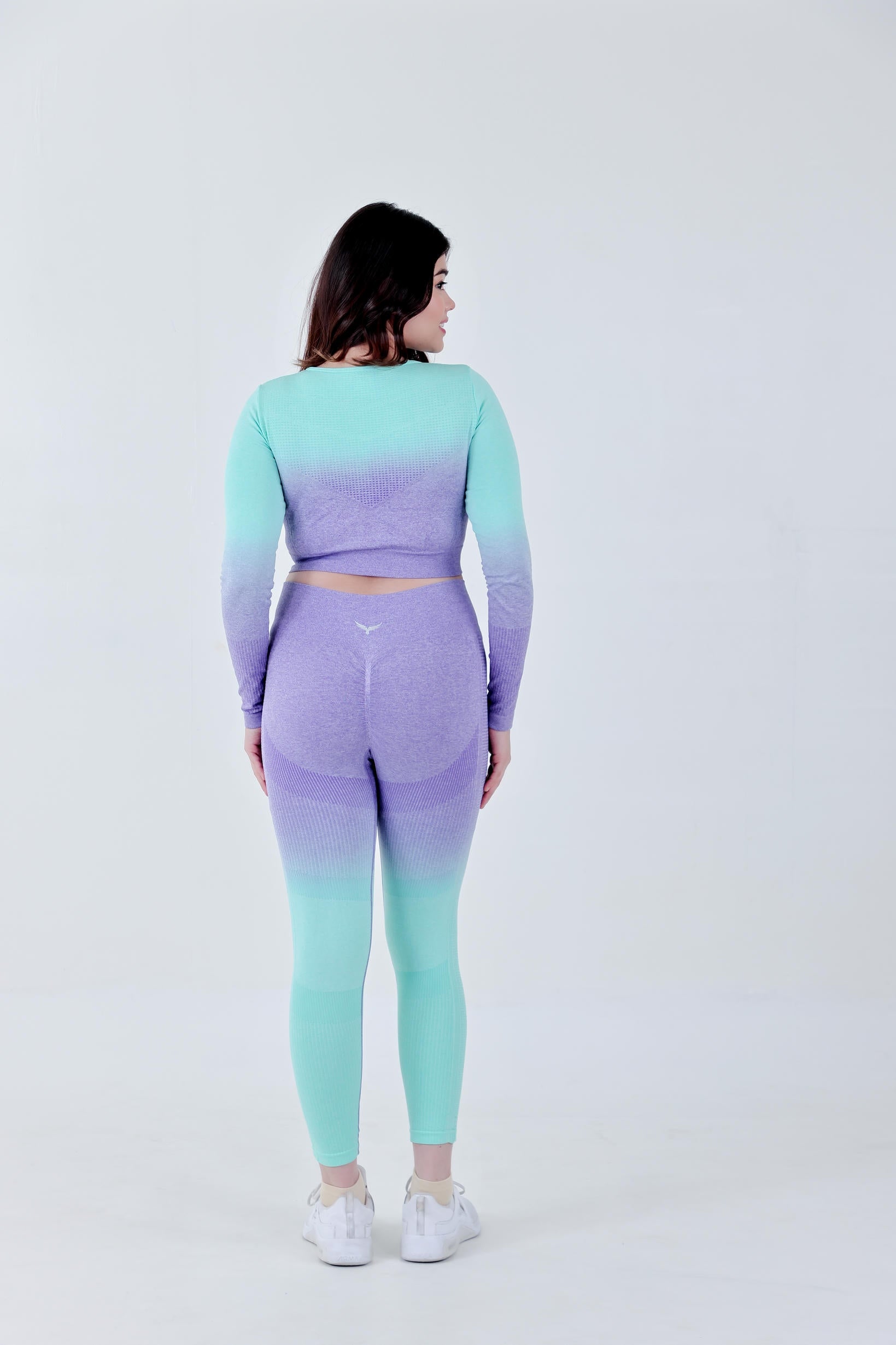 Gradient Seamless Nylon Legging – Purple Green